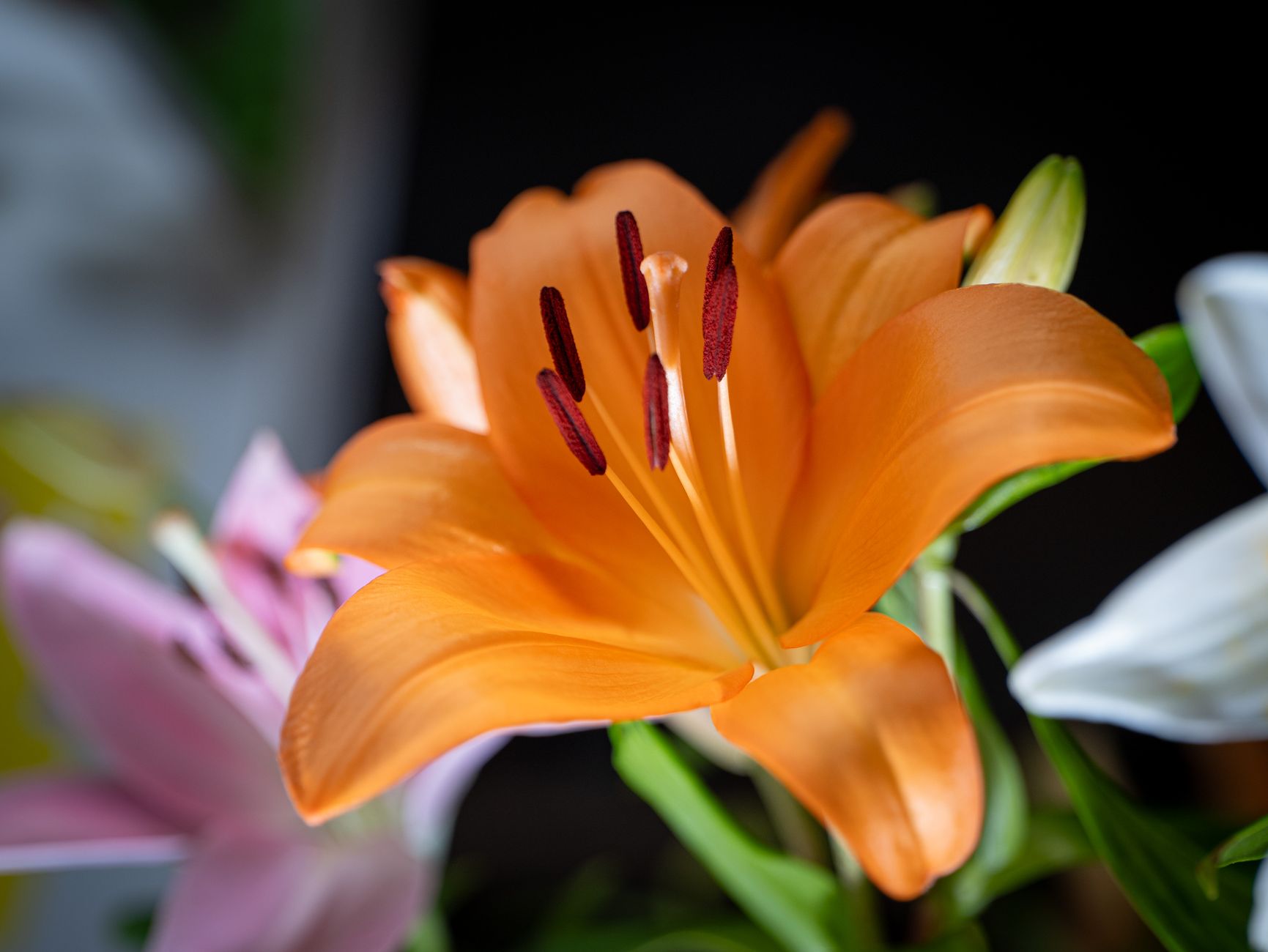 Livraison Fleurs Dijon 2